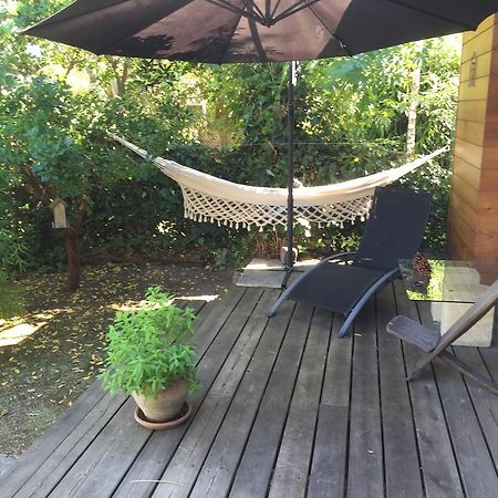 Chambre D'Hotes Du Clos Bamboo Mérignac Zewnętrze zdjęcie